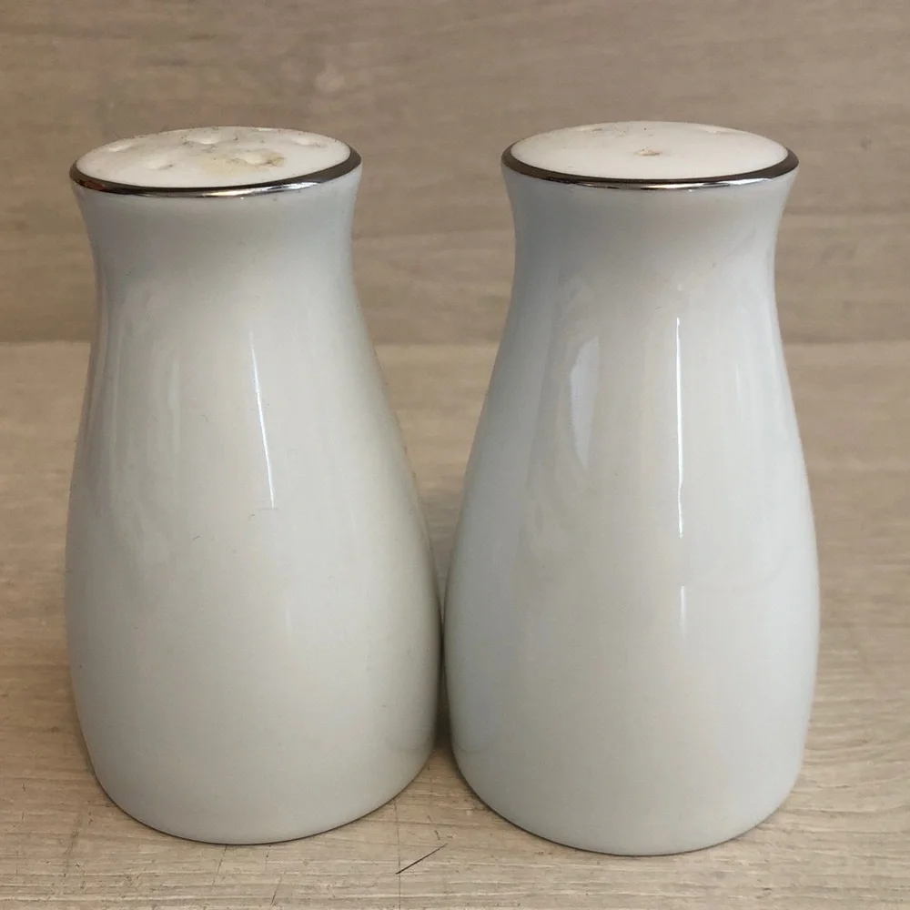 Vintage Noritake Pasadena (pattern #6311) Porcelain Salt & Pepper Shakers Japan